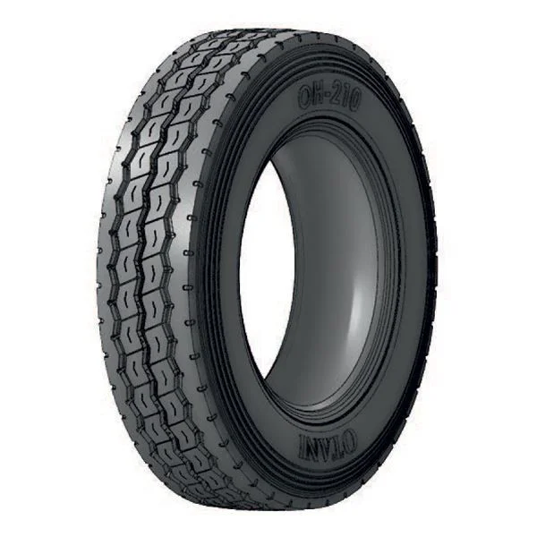 ?asově Omezené Pneumatika 13 R22,5 OTANI OH-210